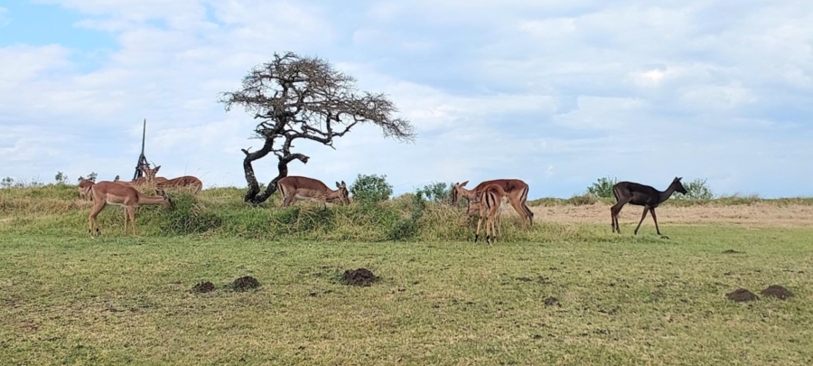 0 Bedroom Property for Sale in Khamanga Bay Eastern Cape
